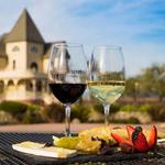Concannon Vineyard