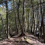 Logan Creek State Natural Area