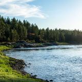Post Falls Community Forest