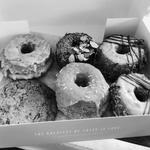 Five Daughters Bakery 12th South