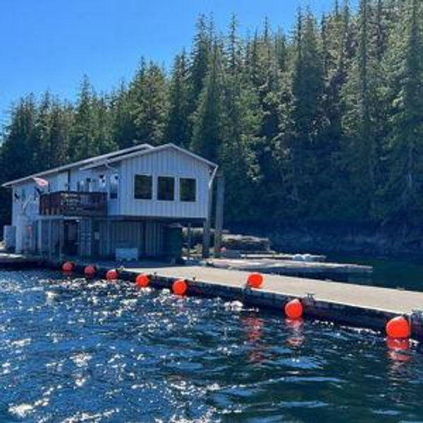 Honeymoon Excursion: Coastal Cruise and Oyster Tasting