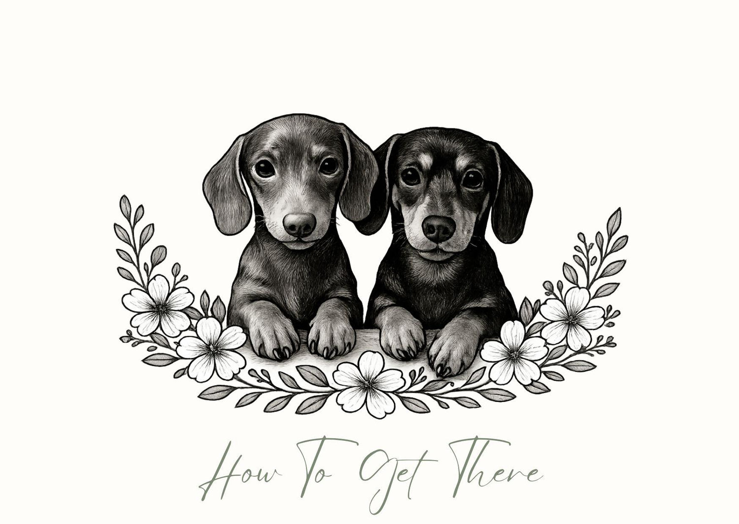 The Wedding Website of Amy Harland and Joe Disney
