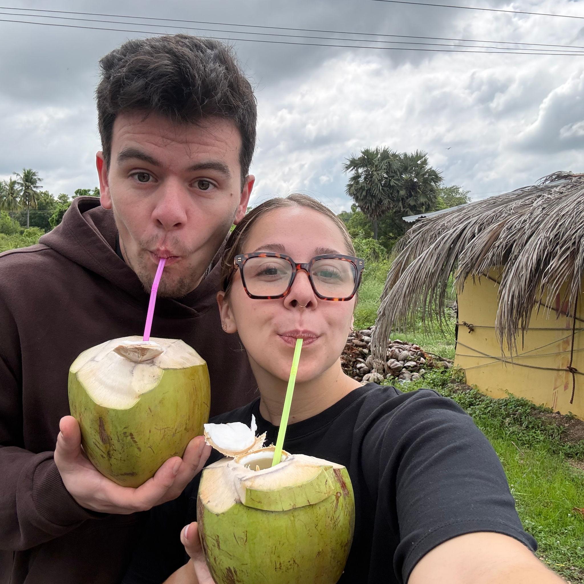 Fresh coconut in India