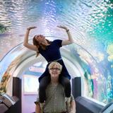 Discovery World