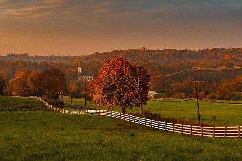 The Wedding Website of Jess Martin and Joe Pomeisl