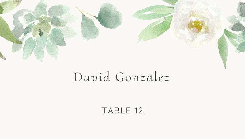 Cricket | Sage | Zola Wedding Place Cards