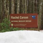 Rachel Carson National Wildlife Refuge