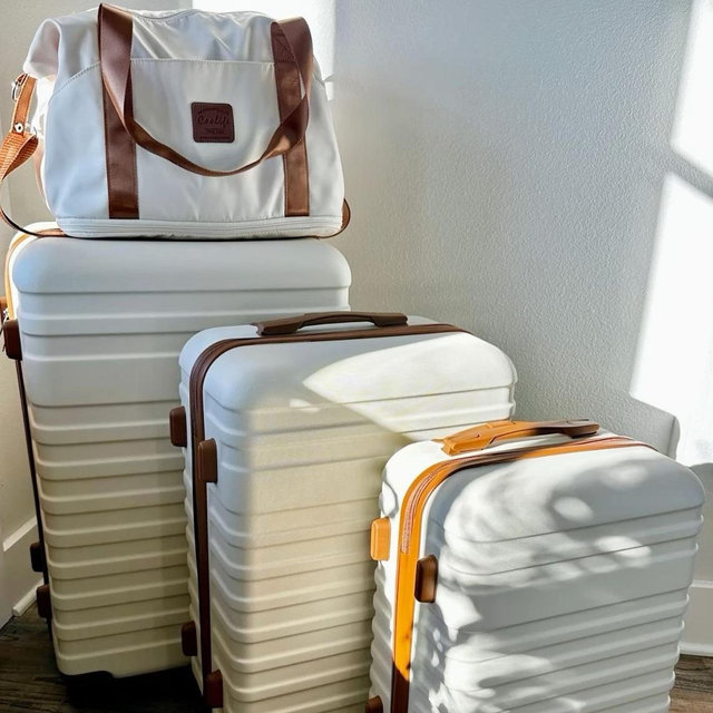 Baggage fees or travel snacks