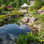 Botanical Gardens of the Ozarks