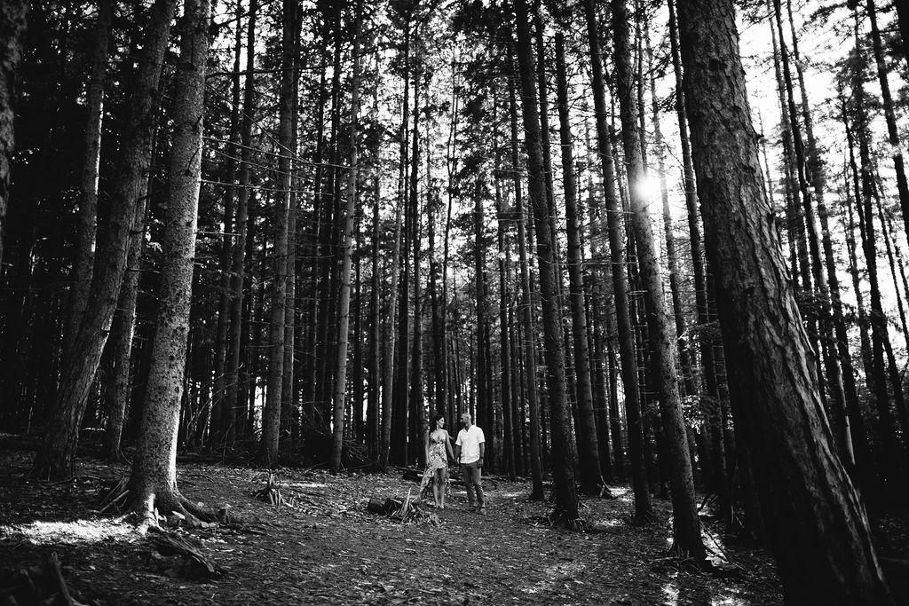 The Wedding Website of Julie Lalonde and Michael Bonner