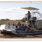 Florida's Everglades National Park (Airboat Ride)