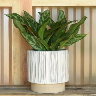 Ramos Vertical Stripe Cachepot, Set of 2