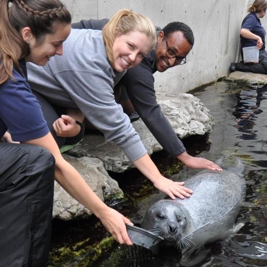 New England Aquarium, Boston