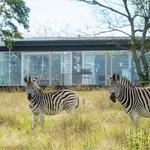 Brahman Hills Weddings, Events, Hotel & Spa