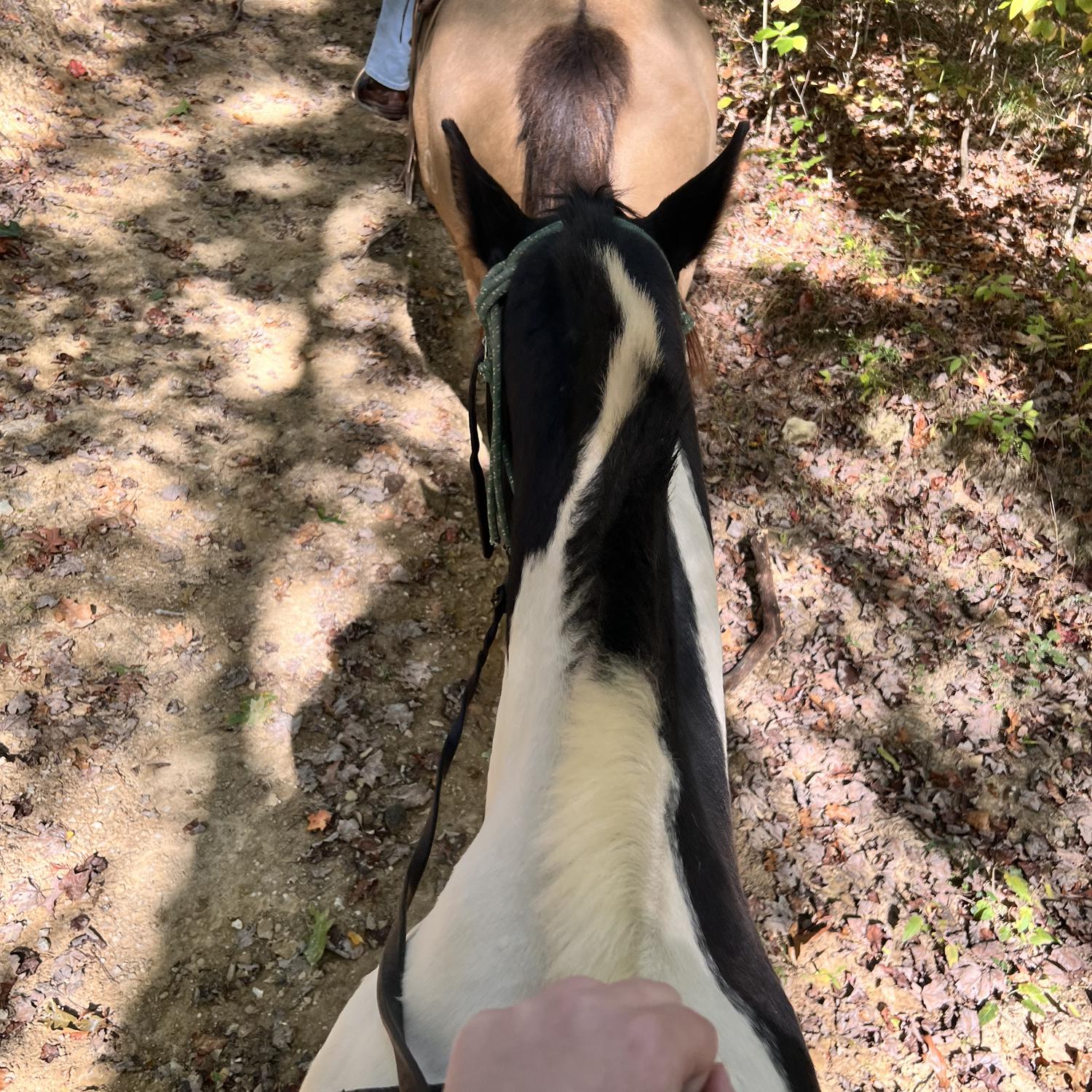 I still don’t have a clue what’s coming -hailey