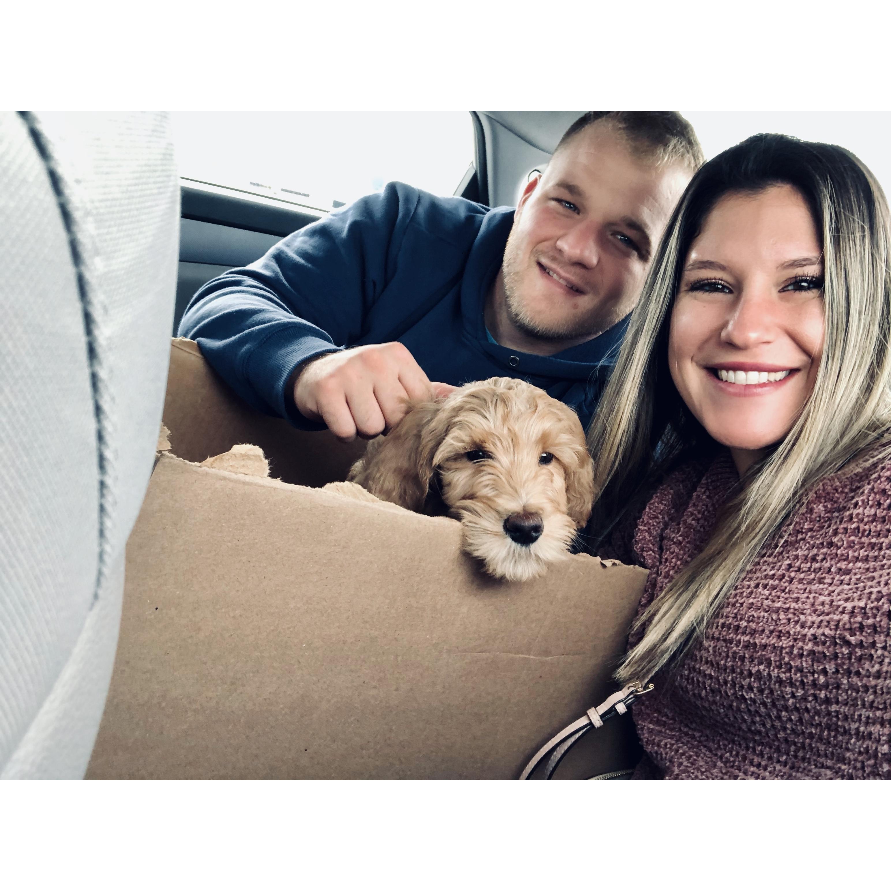 When we first got our girl Luna!