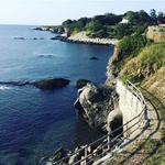 Newport Cliff Walk