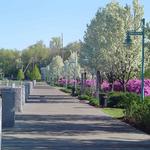 Waterfront Park