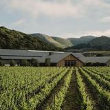 Santa Ynez