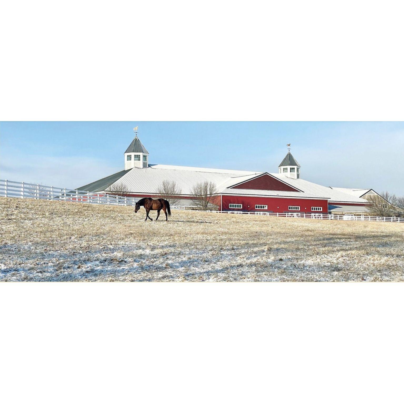 The Equestrian Center