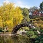 The Huntington Library, Art Museum, and Botanical Gardens