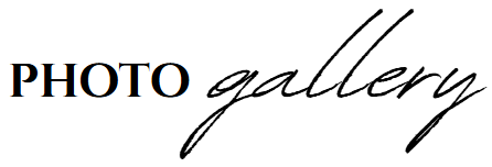 The Wedding Website of Gabrielle Logan and Daniel Flores