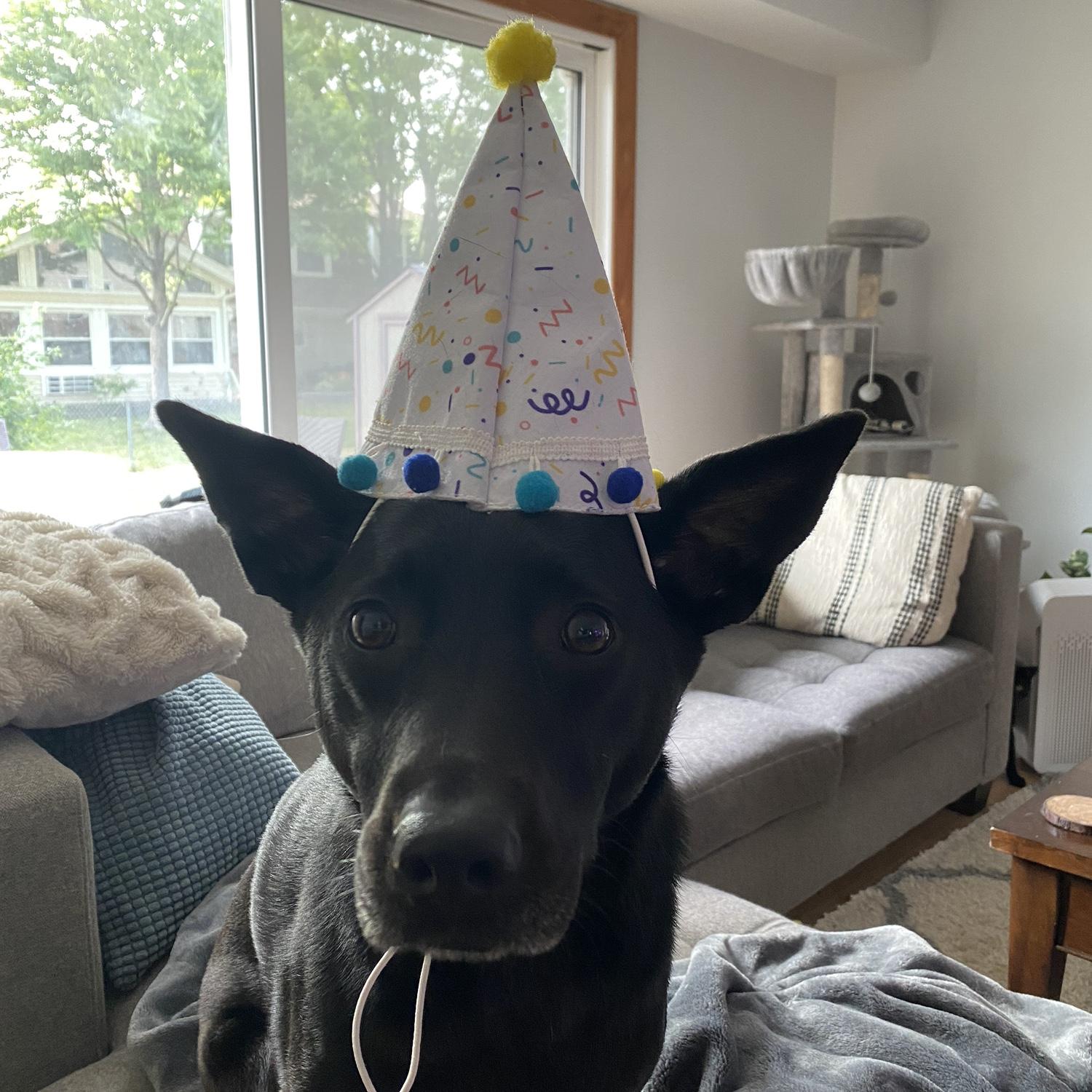 Maru, birthday girl