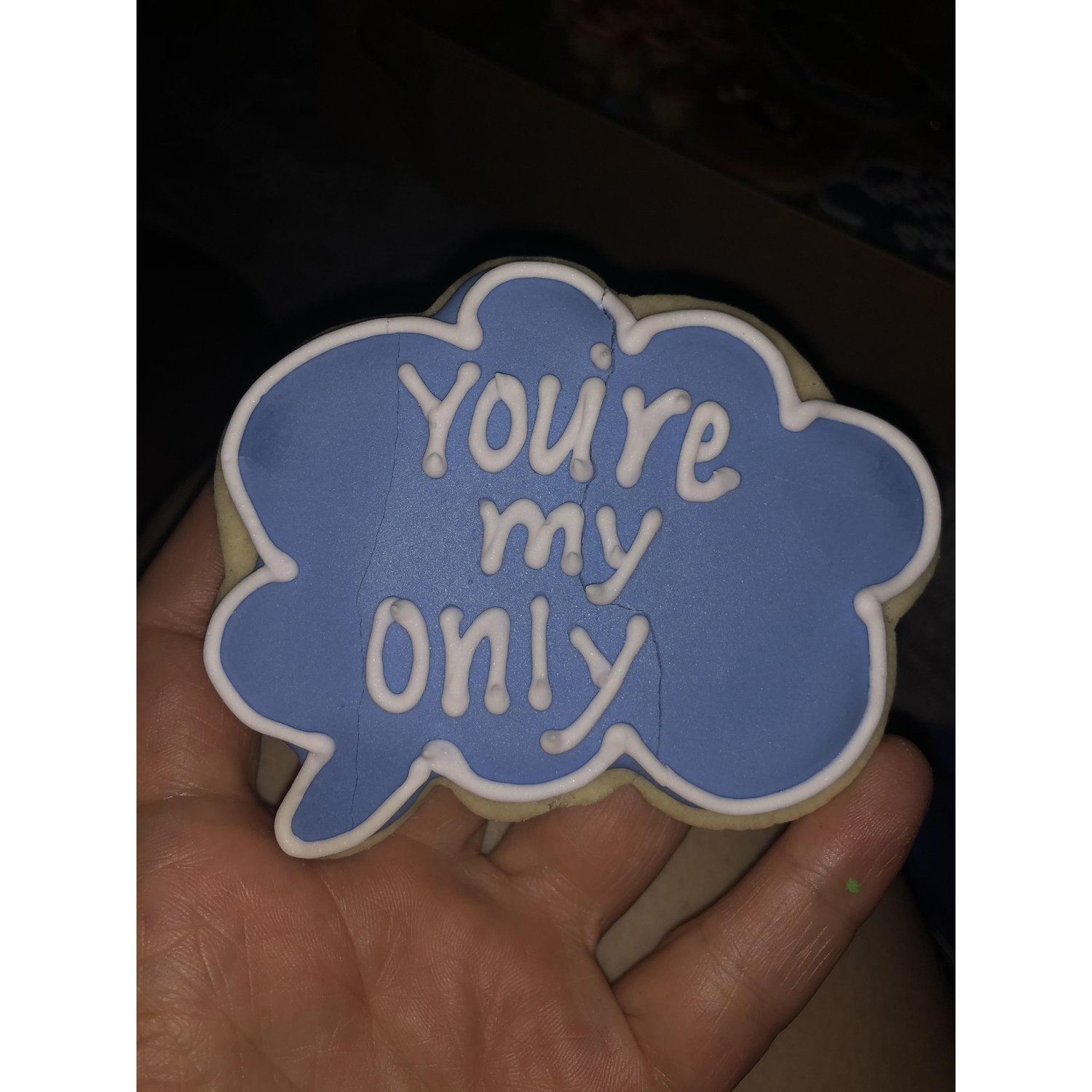 Allison had custom cookies made for the first time we got together in person after we started dating.
Allison and Camille often say these phrases to each other.