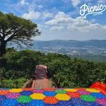 Picnic Steak House el Salvador