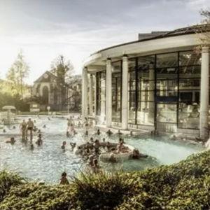 Thermal Bath Day at Friedrichsbad or Caracalla Spa