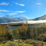 Exit Glacier- Kenai Fjords