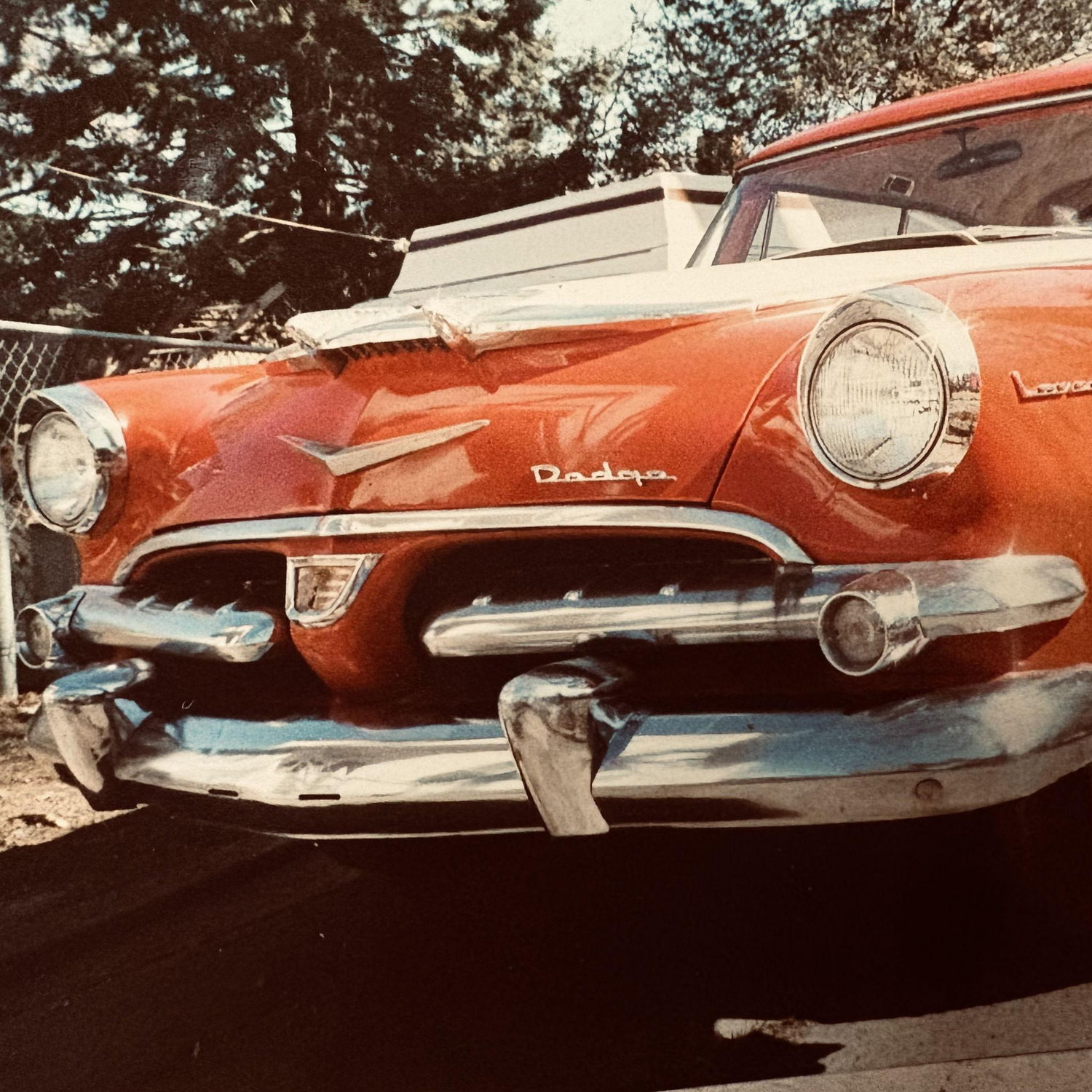 Thomas's 1956 Dodge Cornet Lancer - 547 Backyard