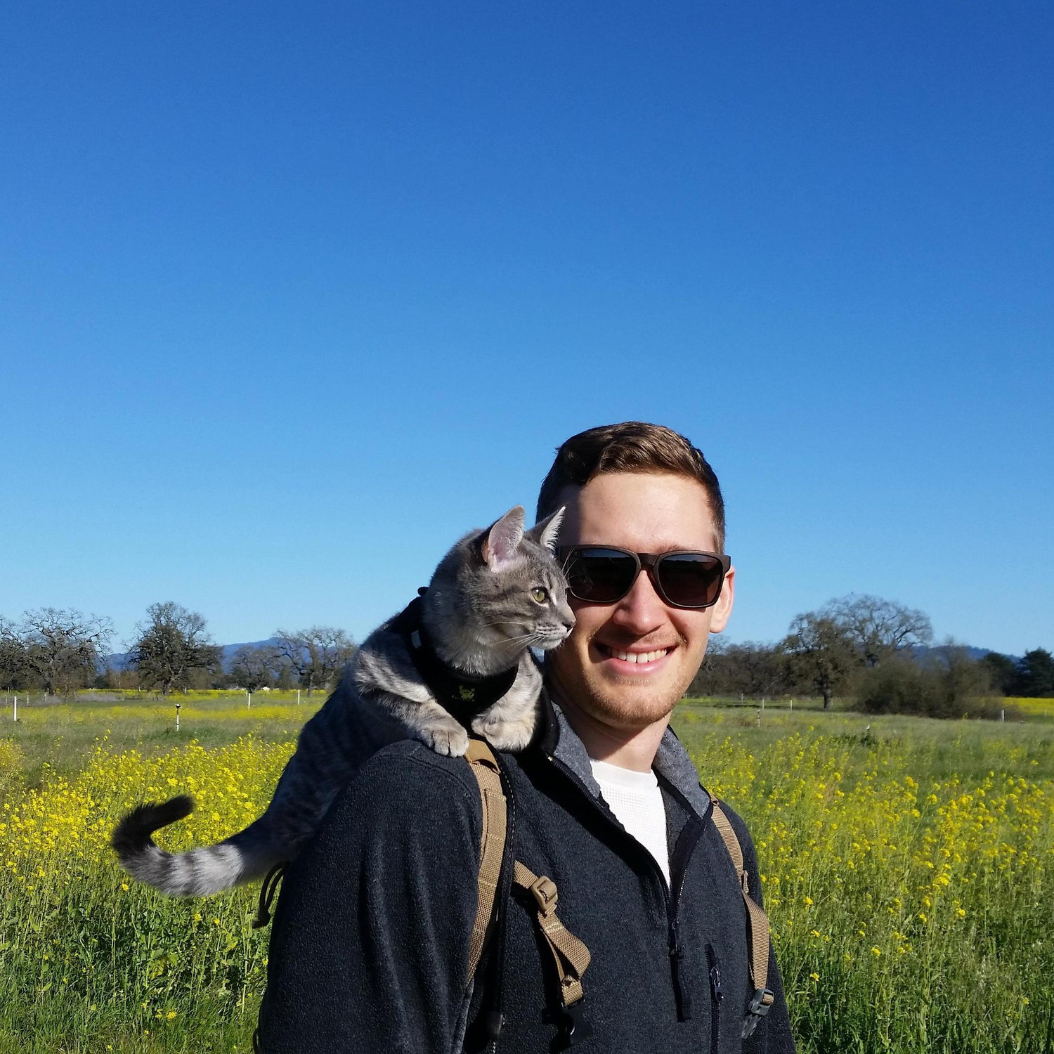 Max and Indie on a hike