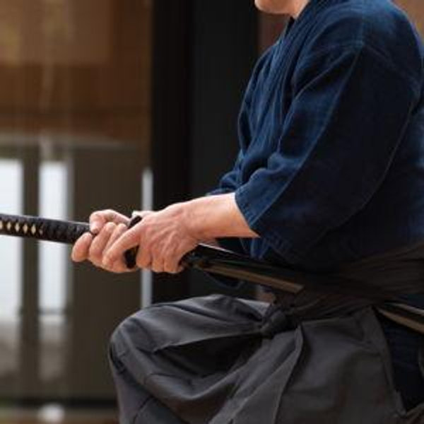 Samurai Training - Honeymoon
