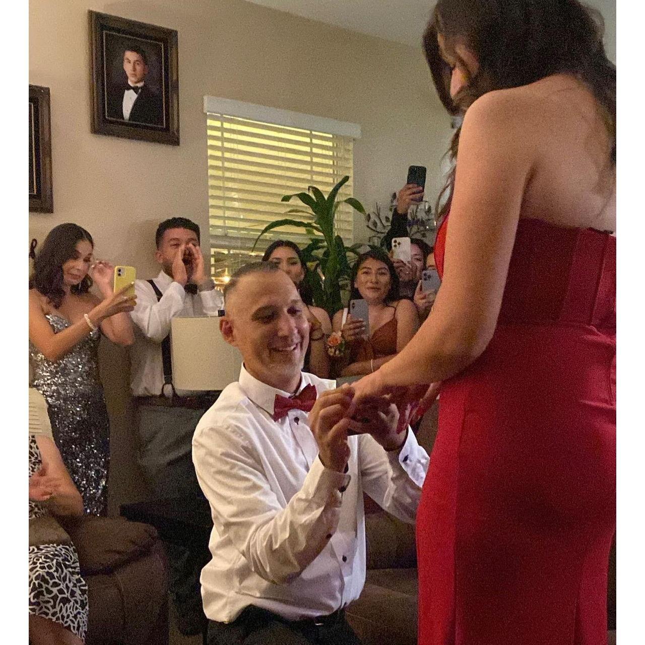 Martin proposed to Alexis