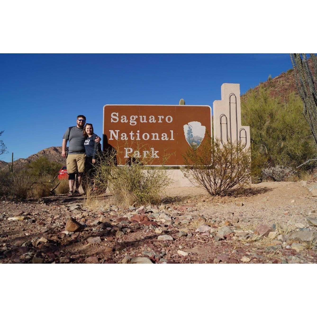 Saguaro National Park, 2016