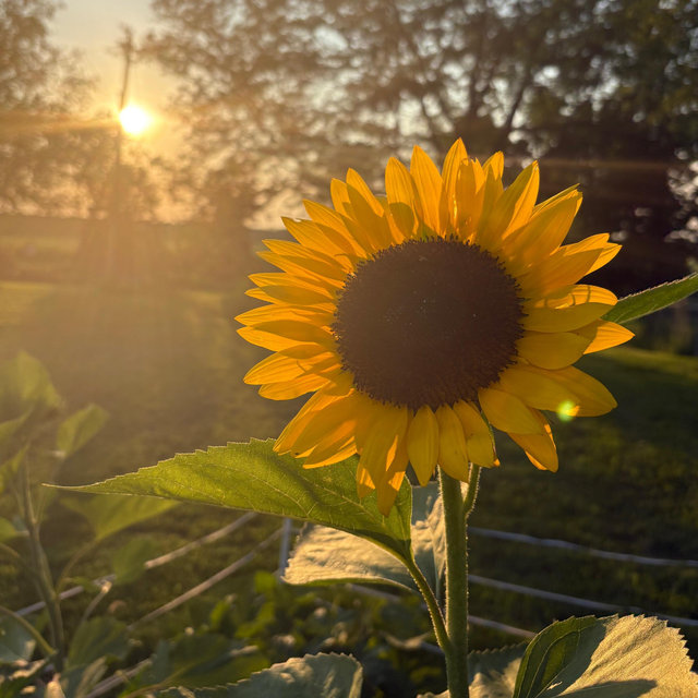 Our Gardening Fund