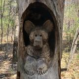 Bear Brook State Park