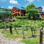 Bully Hill Vineyards