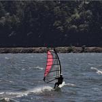 Windsurf, Kitesurf, or Wingsurf