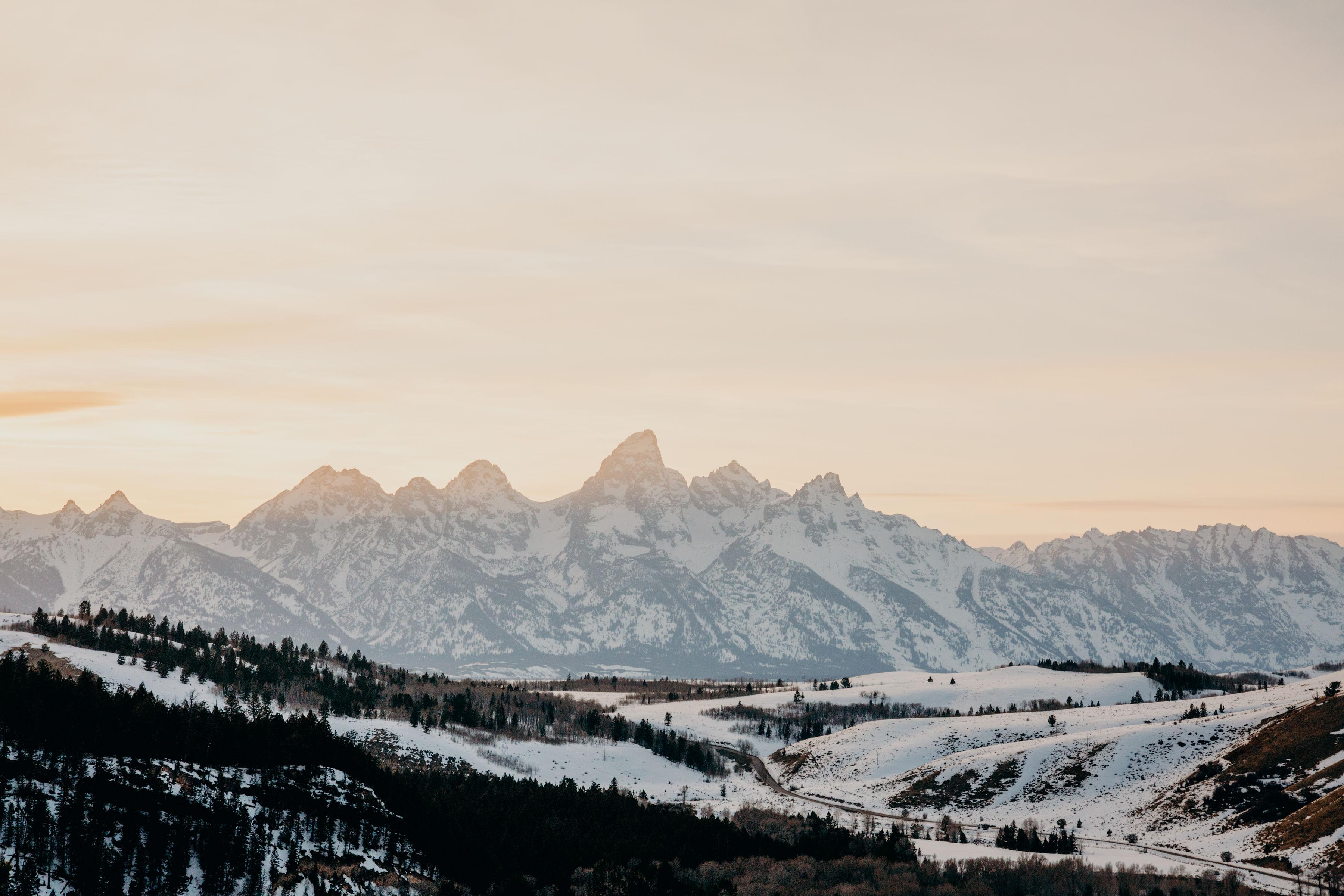 The Wedding Website of Meagan Brown and D. Keith Granger II