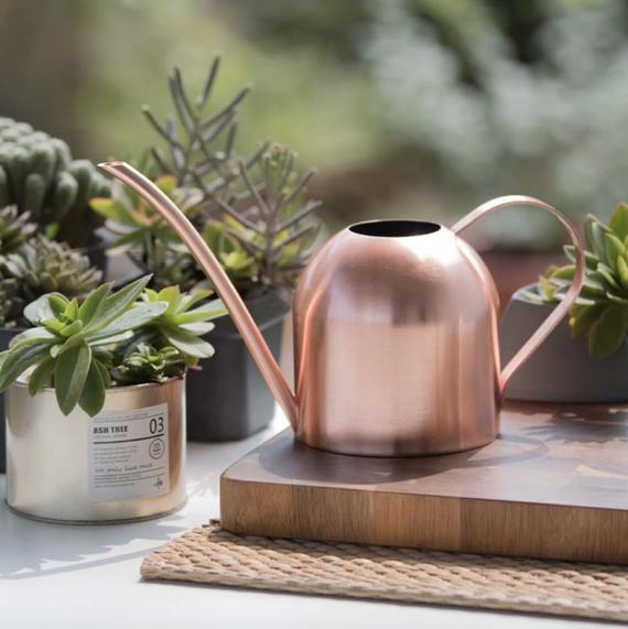 Rose Gold Metal Watering Can | Great for indoor plants