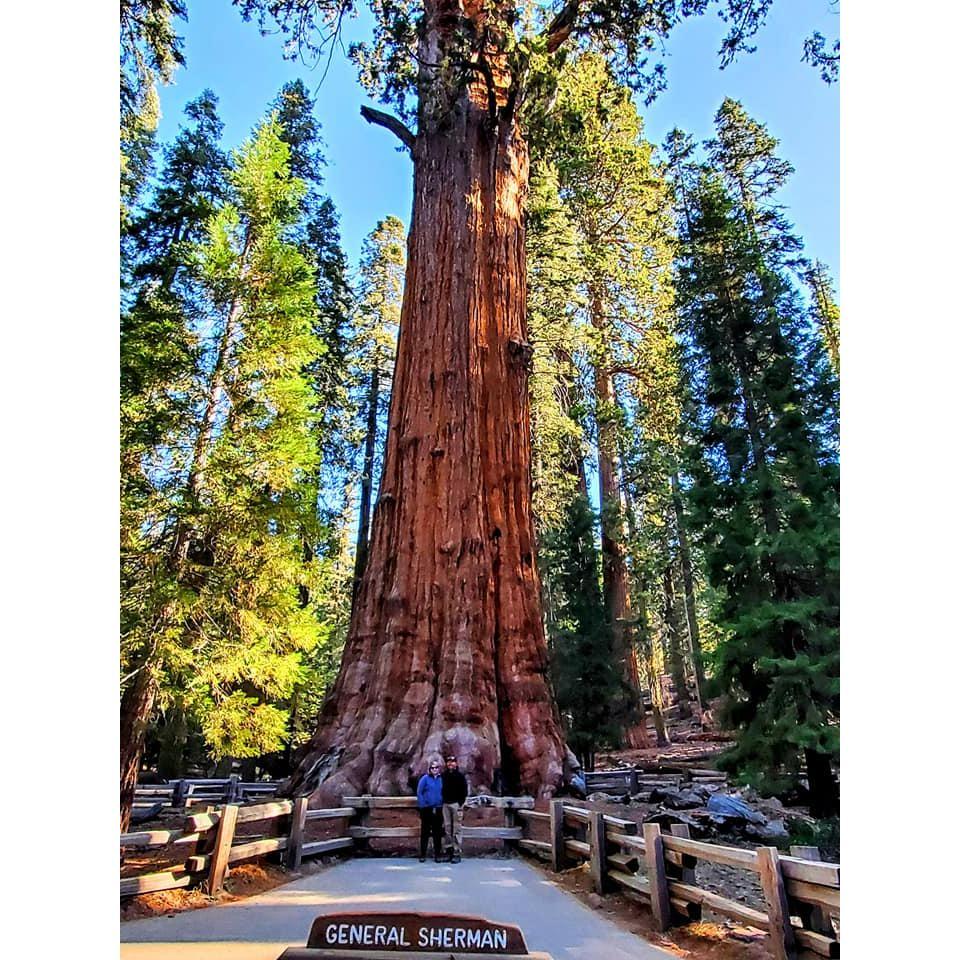 Sarah and Jared next to the General Sherman tree at Sequoia National, the world's largest tree.