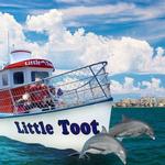 Little Toot Dolphin Adventure - #1 Dolphin Tour in the USA!