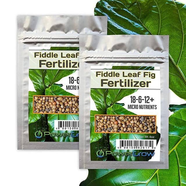 Fiddle Fig Fertilizer - Full Spectrum + Micro Nutrients - Slow Release Feeds for 8 Months - Bag is Over a Year Supply for Fiddle Leaf Fig Trees (Fiddle Fig Fertilizer - 6oz Bags 2 Pack)