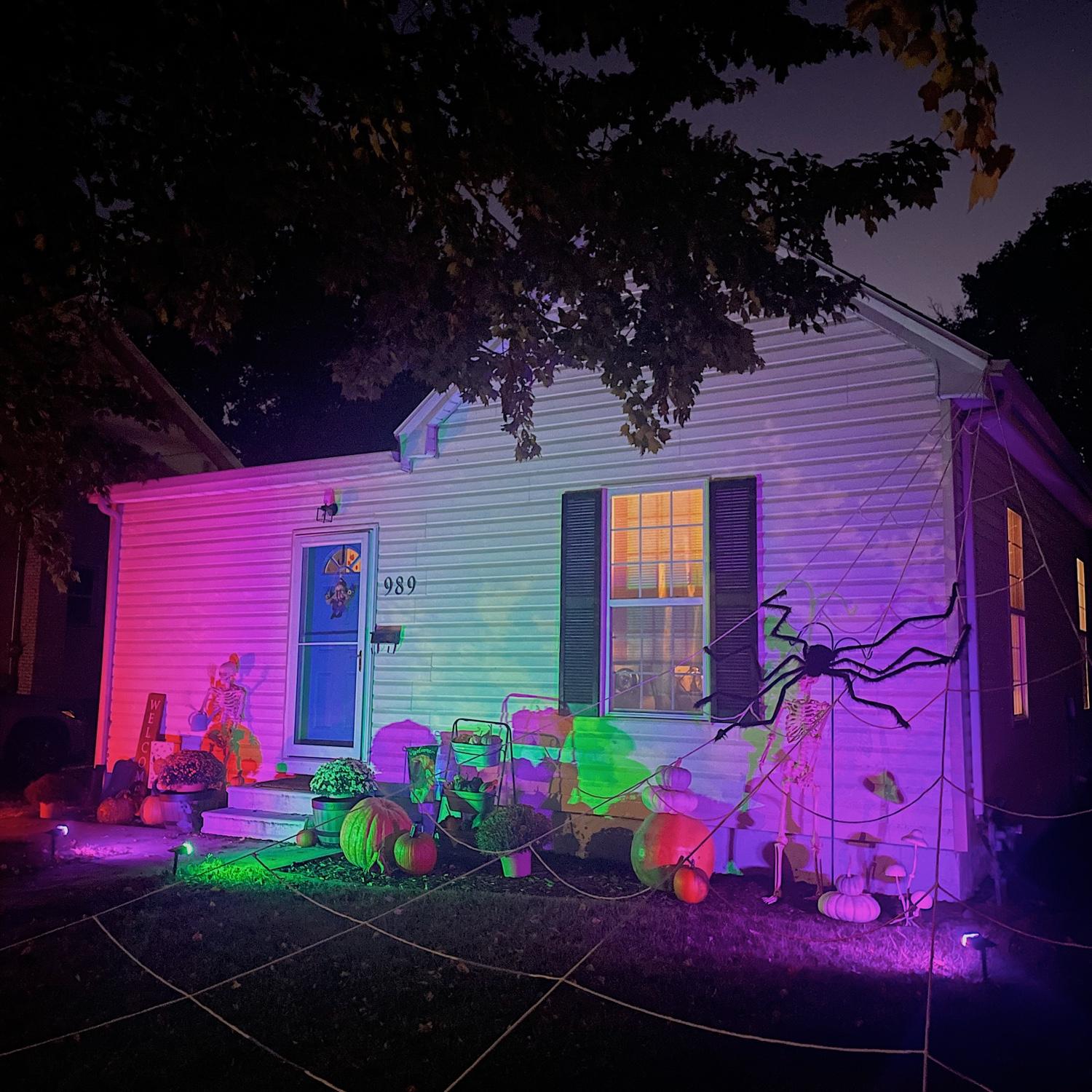 First Halloween in the new house had to go overboard