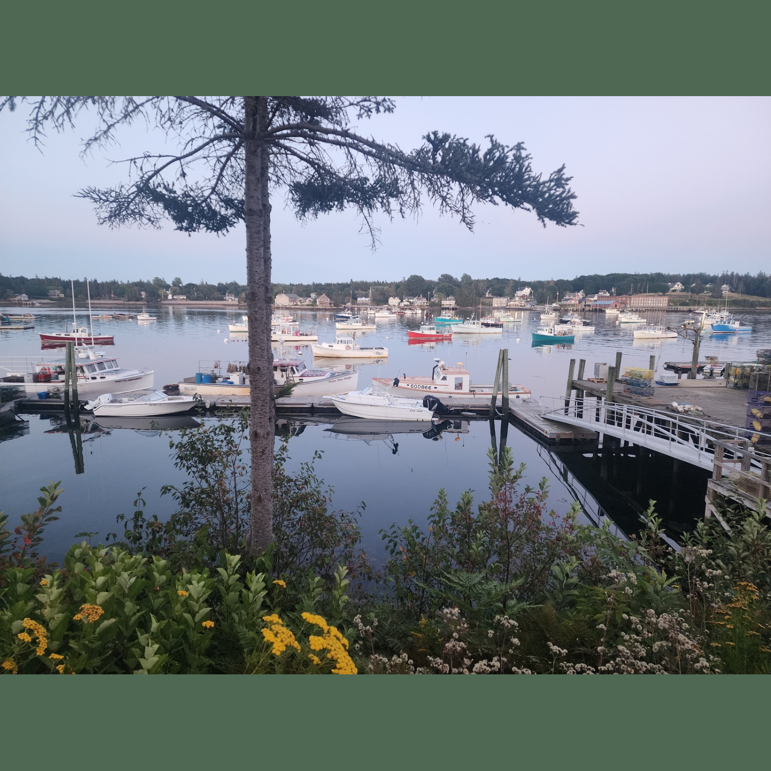 One of the many marinas around Mount Desert Island.