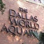 The Dallas World Aquarium