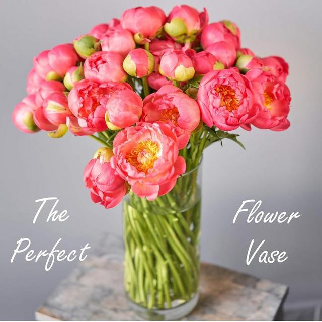 Cylinder Clear Glass Vase