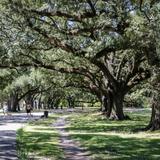 Audubon Park